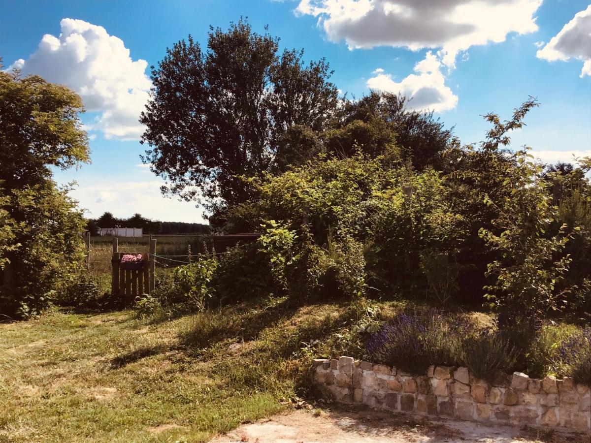 le chalet de la ferme du tertre Villers-au-Tertre Chambre photo
